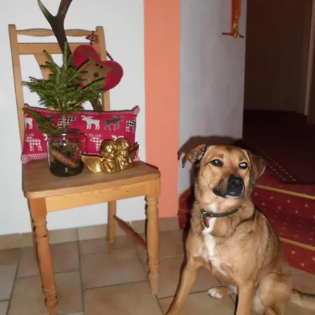 Biobauernhof Vilshof 게스트하우스 3*