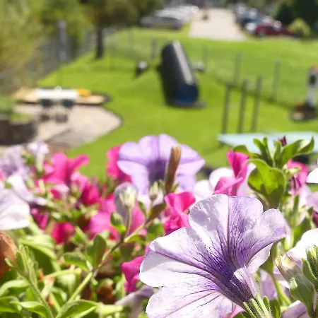 Biobauernhof Vilshof Tannheim