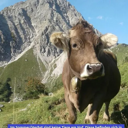 Biobauernhof Vilshof Tannheim